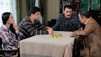 Feyq papa - seria 24