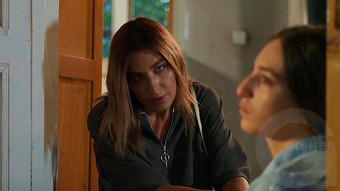 Shirazi varde - seria 145