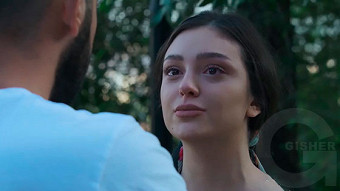 Shirazi varde - seria 152