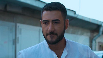 Shirazi varde - seria 148