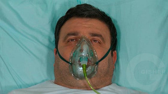 Shirazi varde - seria 146