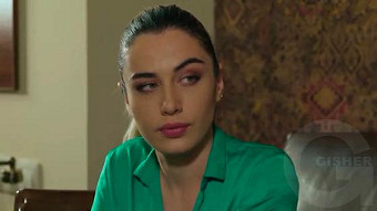 Shirazi varde - seria 96