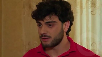 Shirazi varde - seria 102