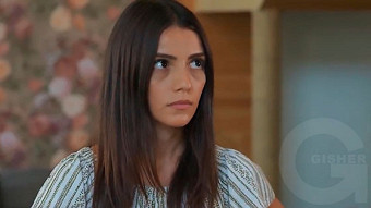 Shirazi varde - seria 163