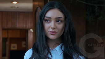 Shirazi varde - seria 161