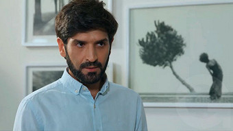 Shirazi varde - seria 157