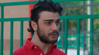 Shirazi varde - seria 166