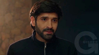 Shirazi varde - seria 209