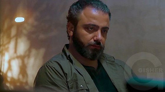 Poghoci shner - seria 14