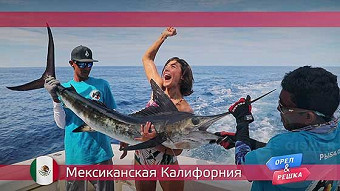 Орел и решка: Мексиканская Калифорния