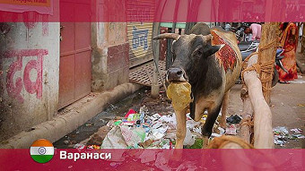 Орел и решка. Варанаси. Индия