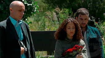 Poghoci shner - seria 16