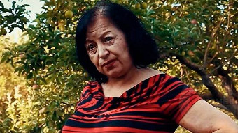 Sev hanqer - seria 13