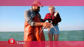 Орел и решка: Тунис