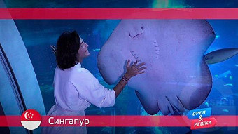 Орел и Решка: Сингапур