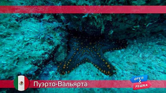 Орел и решка: Пуэрто-Вальярта. Мексика