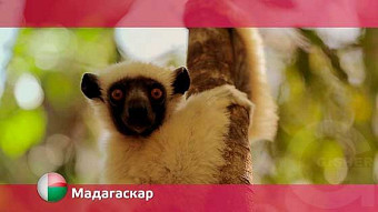 Орел и решка: Мадагаскар