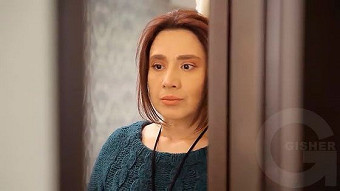 Nran hatik - seria 367