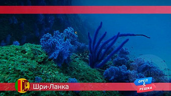 Орел и Решка: Шри-Ланка