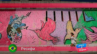 Орел и Решка: Бразилия