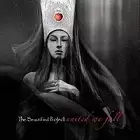 The Beautified Project - United We Fall